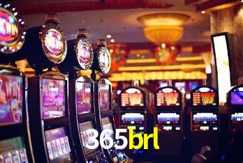 365brl São Paulo - Live Tables