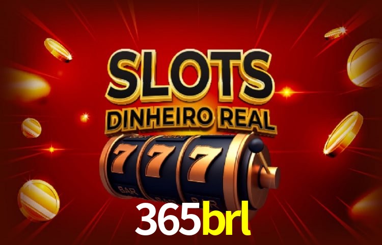 365brl Curitiba - Statistics